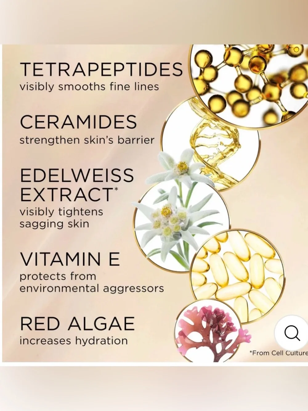 Elizabeth Arden Advanced Ceramide Lift and Firm Day Cream